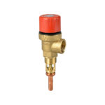 temperature and pressure relief valve